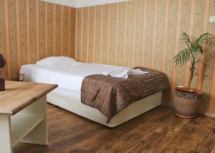 Alexander Palace 호텔 3*